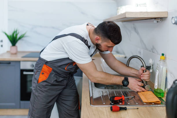 Best Local Plumber Services  in Mila Doce, TX