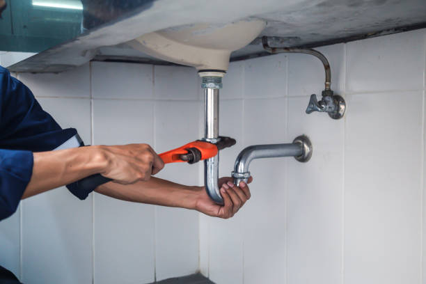 Best Plumbing Inspection Services  in Mila Doce, TX